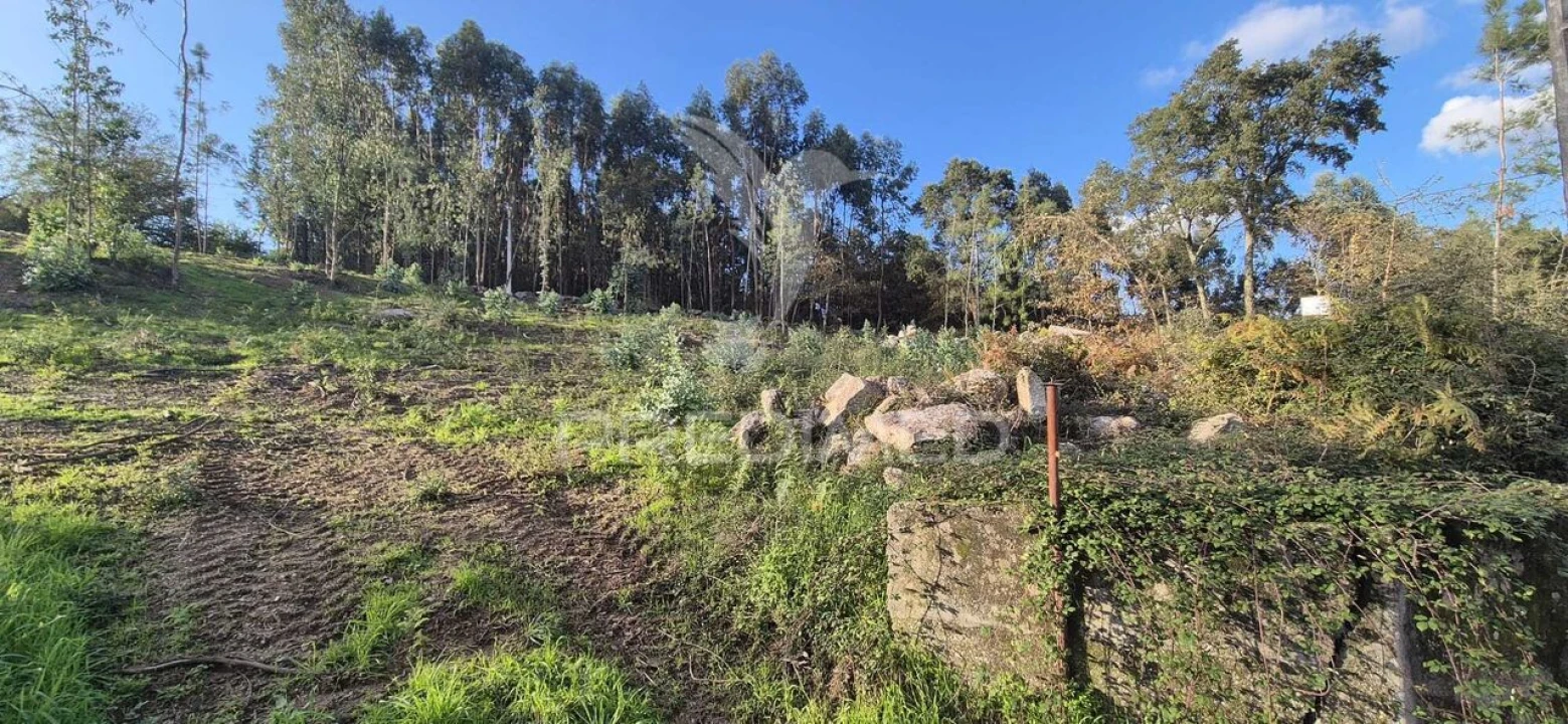 Terreno para Venda em Turiz Foto 19
