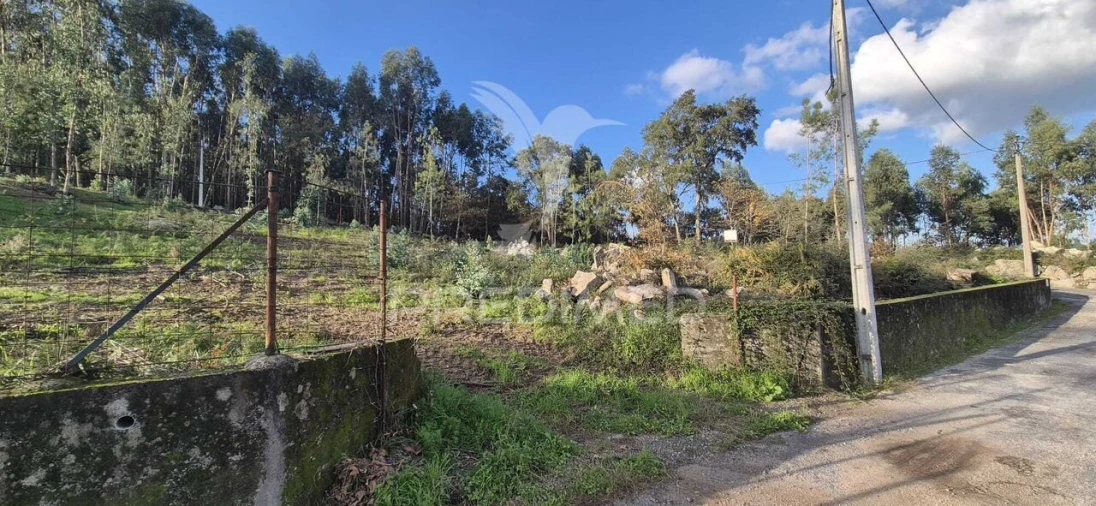 Terreno para Venda em Turiz Foto 14