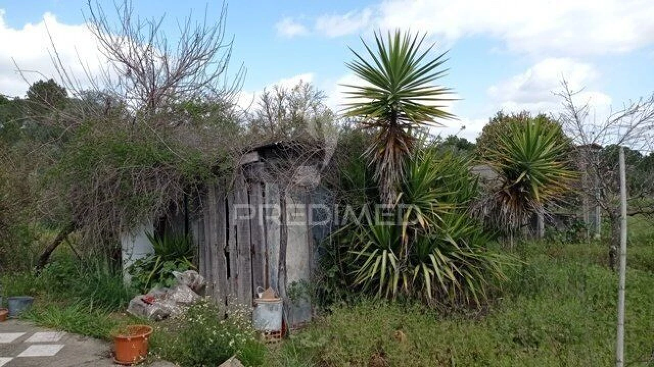 Quinta T2 para Venda em Couço Foto 3