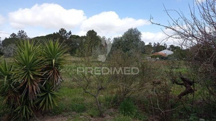 Quinta T2 para Venda em Couço Foto 16