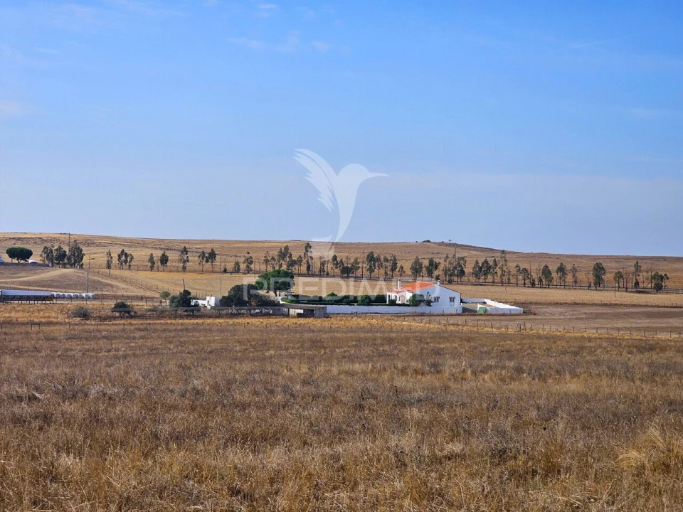 Moradia T4 para Venda em São Marcos da Ataboeira Foto 40