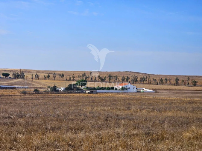 Moradia T4 para Venda em São Marcos da Ataboeira Foto 40