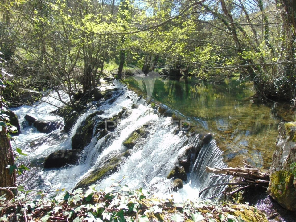 Quinta T4 para Venda em Mondrões Foto 36