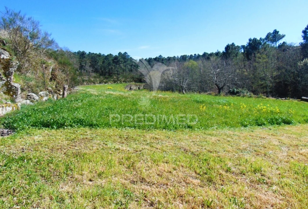 Quinta T4 para Venda em Mondrões Foto 25