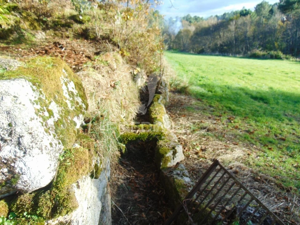 Quinta T4 para Venda em Mondrões Foto 38