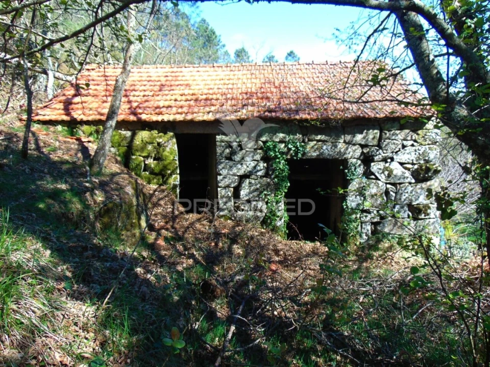 Quinta T4 para Venda em Mondrões Foto 28