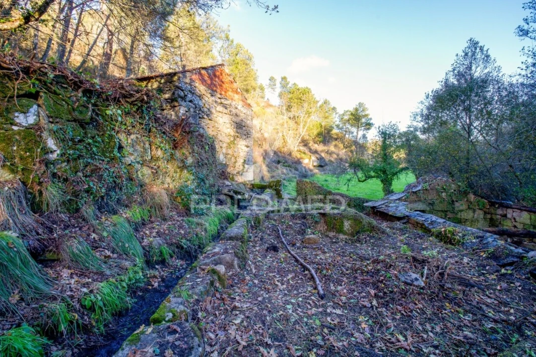 Quinta T4 para Venda em Mondrões Foto 8