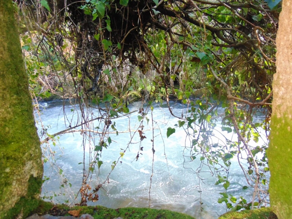 Quinta T4 para Venda em Mondrões Foto 31