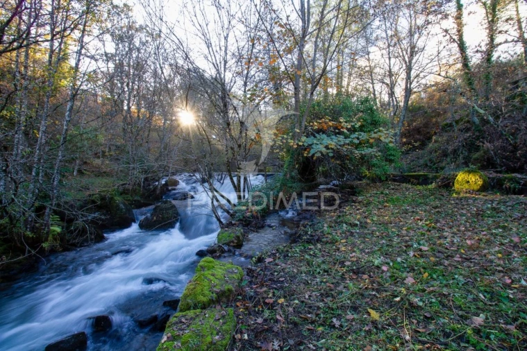 Quinta T4 para Venda em Mondrões Foto 14