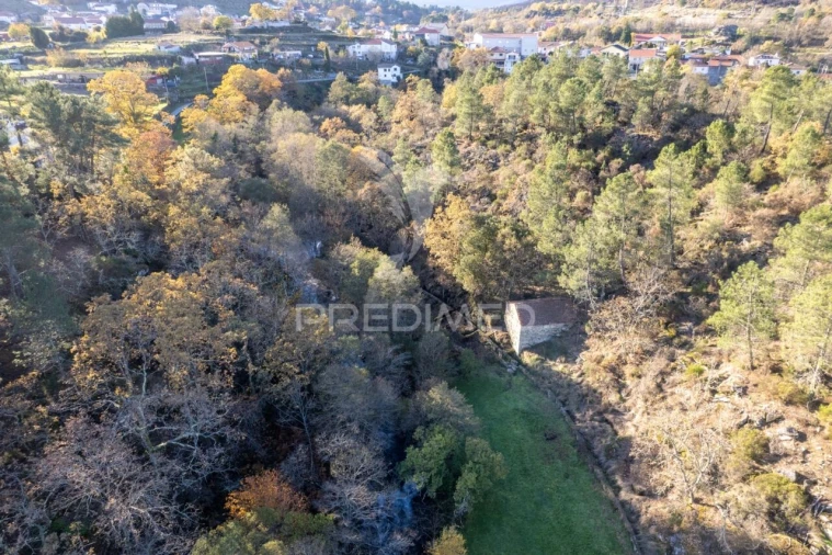 Quinta T4 para Venda em Mondrões Foto 10