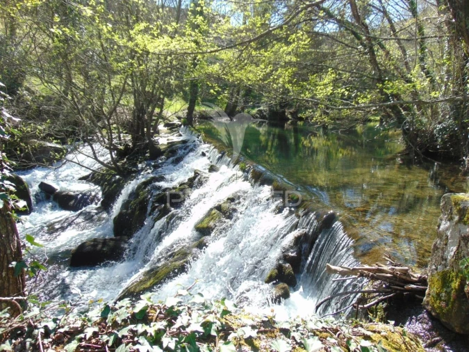 Quinta T4 para Venda em Mondrões Foto 36