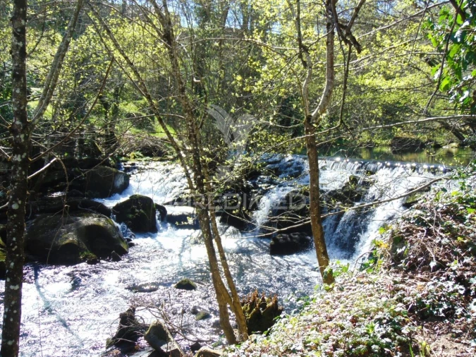 Quinta T4 para Venda em Mondrões Foto 34