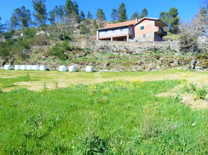 Quinta T4 para Venda em Mondrões Foto 24