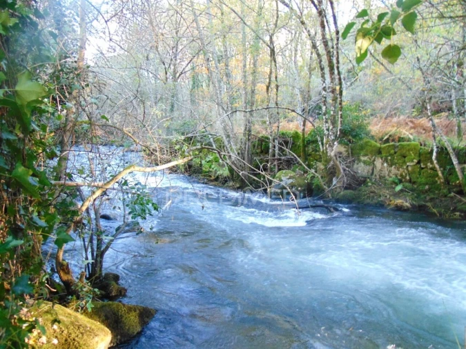 Quinta T4 para Venda em Mondrões Foto 37