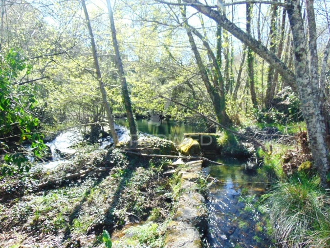 Quinta T4 para Venda em Mondrões Foto 35