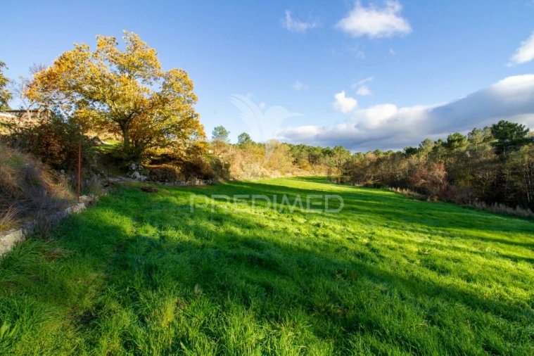 Quinta T4 para Venda em Mondrões Foto 6
