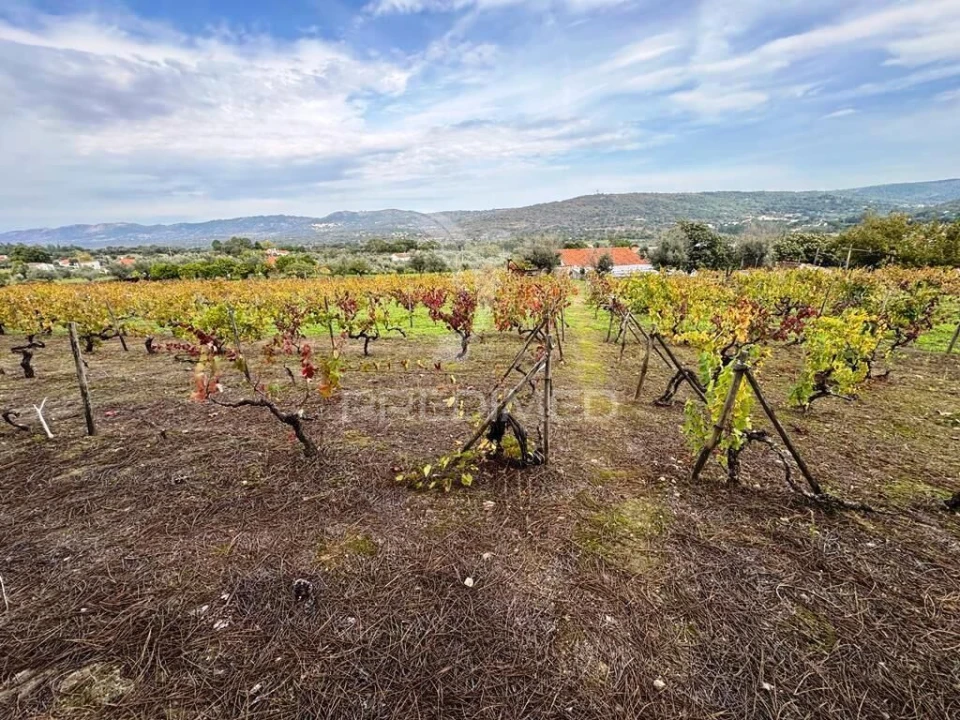 Quinta T4 para Venda em Fortios Foto 1
