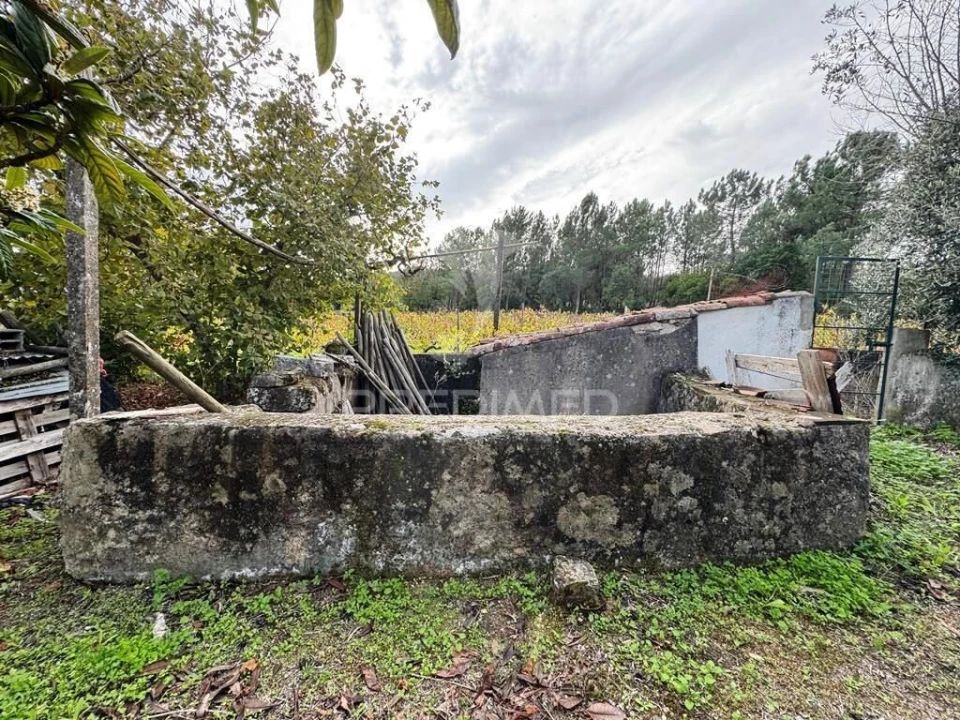 Quinta T4 para Venda em Fortios Foto 22