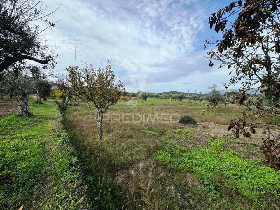 Quinta T4 para Venda em Fortios Foto 18