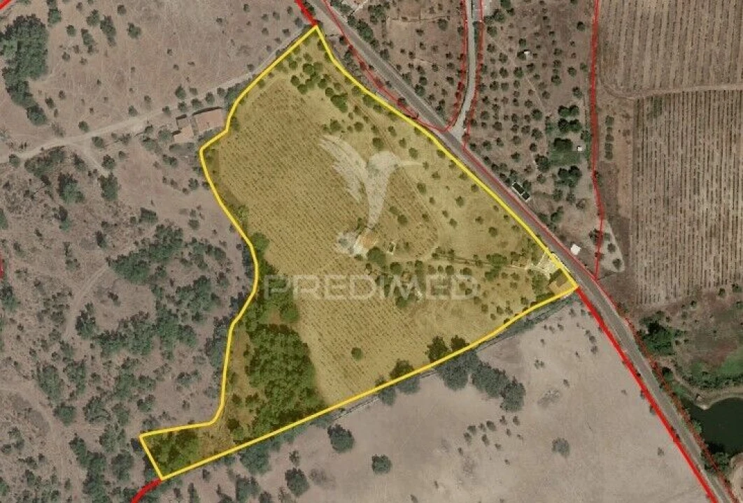 Quinta T4 para Venda em Fortios Foto 30