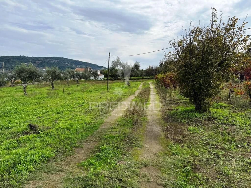 Quinta T4 para Venda em Fortios Foto 27