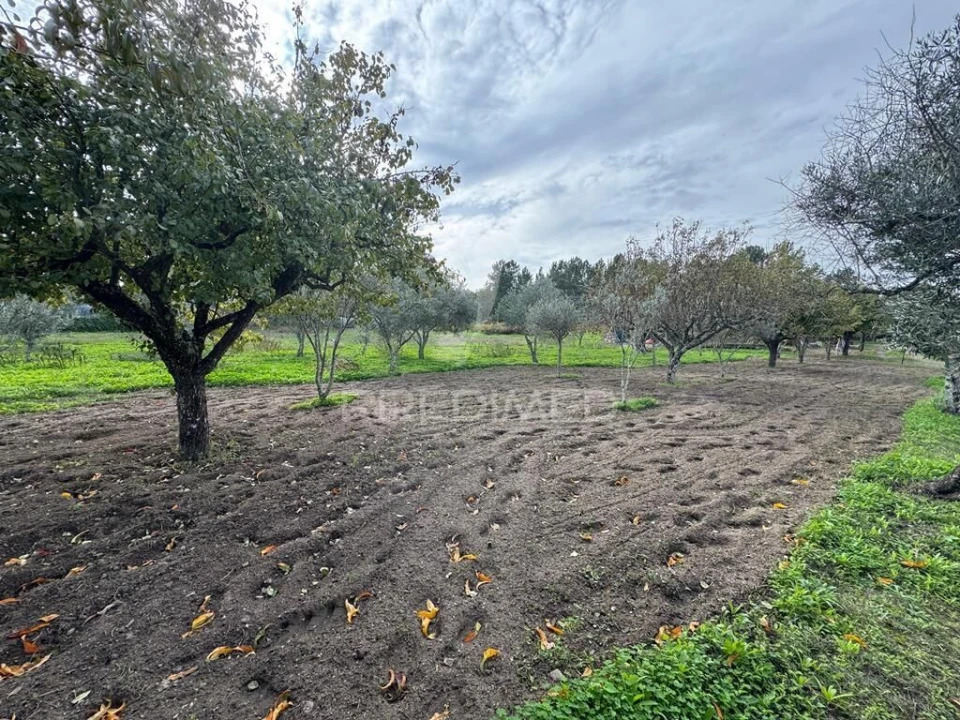 Quinta T4 para Venda em Fortios Foto 19