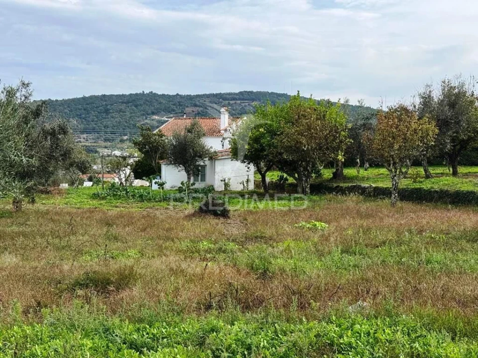 Quinta T4 para Venda em Fortios Foto 29