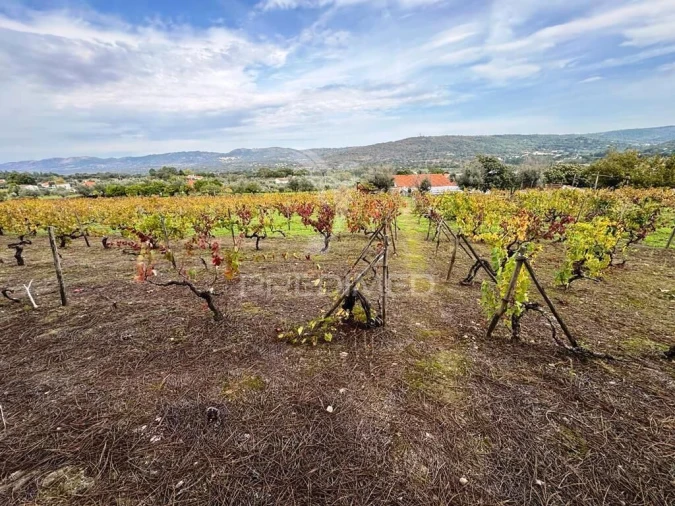 Quinta T4 para Venda em Fortios Foto 1