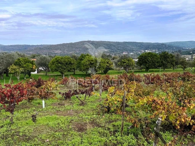 Quinta T4 para Venda em Fortios Foto 26