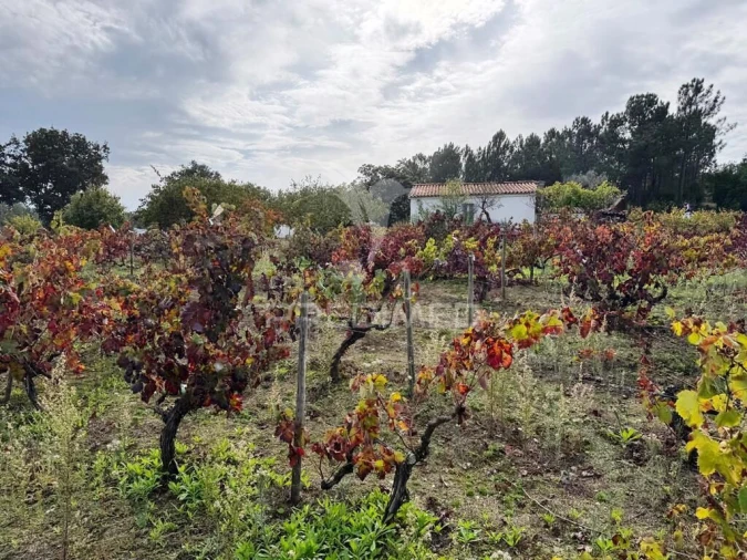 Quinta T4 para Venda em Fortios Foto 28