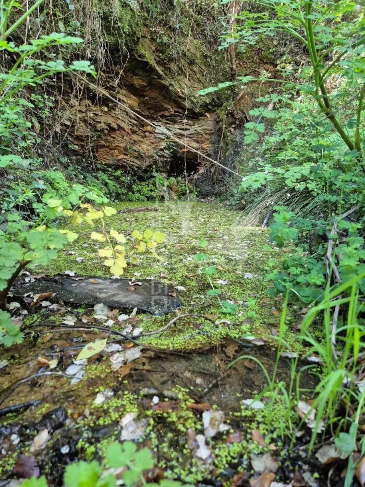 Quinta T2 para Venda em São Salvador e Santa Maria Foto 18