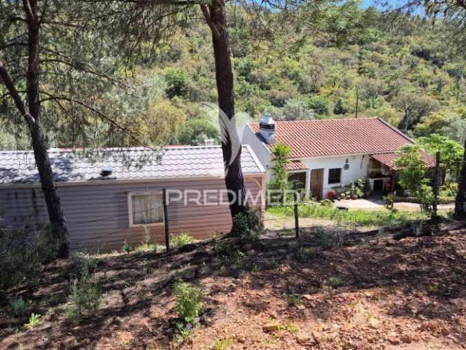 Quinta T2 para Venda em São Salvador e Santa Maria Foto 14