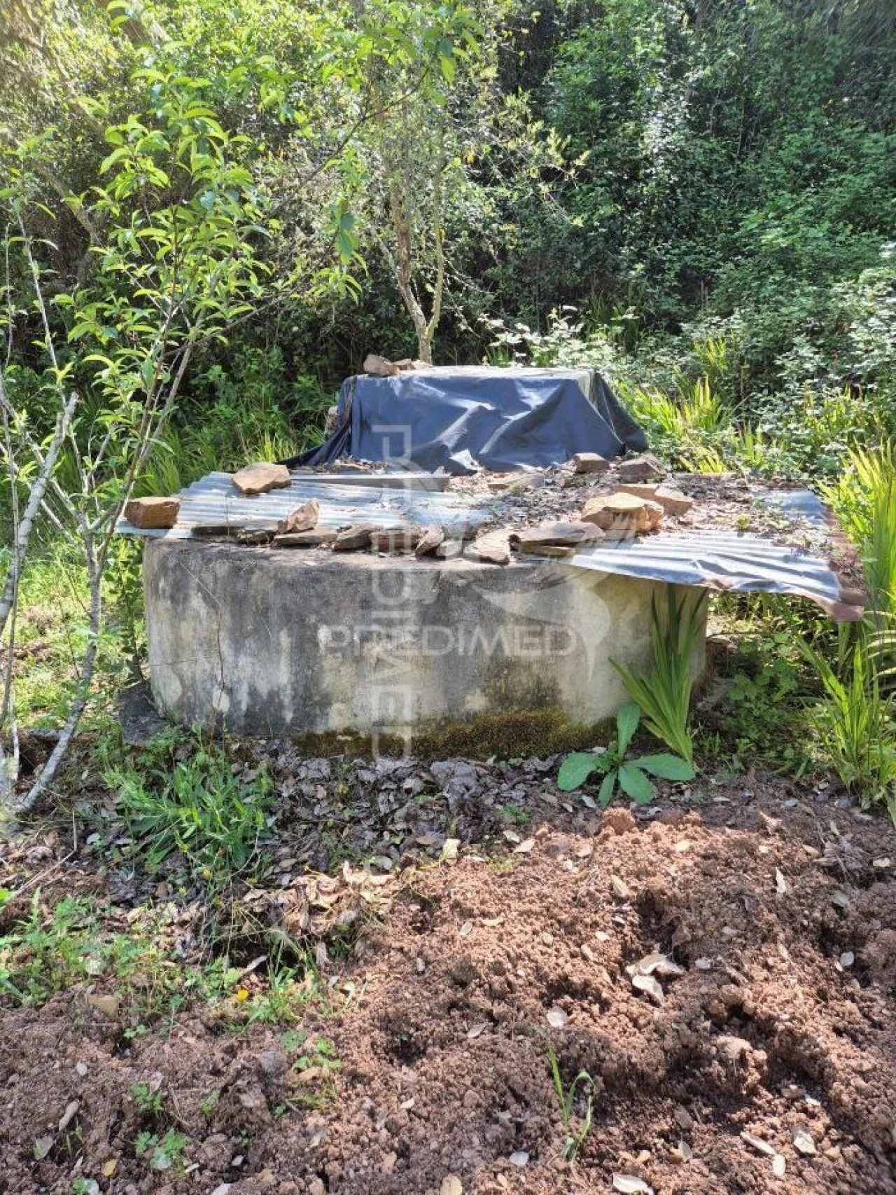 Quinta T2 para Venda em São Salvador e Santa Maria Foto 19