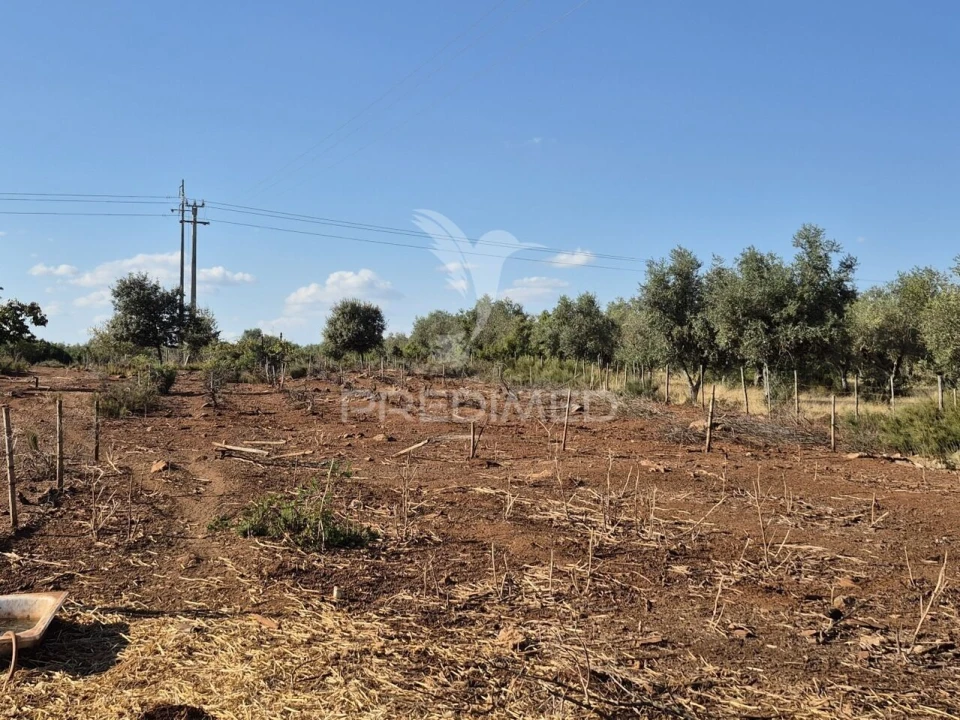 Terreno para Venda em Nossa Senhora da Conceição e São Bartolomeu Foto 31
