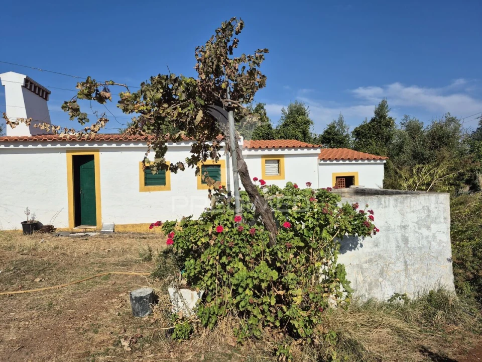 Terreno para Venda em Nossa Senhora da Conceição e São Bartolomeu Foto 1