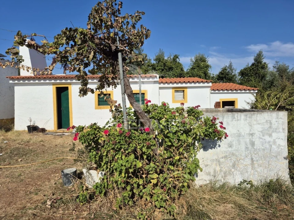 Terreno para Venda em Nossa Senhora da Conceição e São Bartolomeu Foto 13