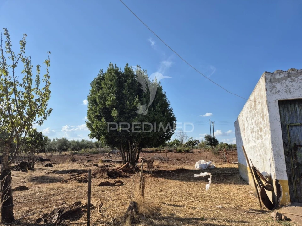 Terreno para Venda em Nossa Senhora da Conceição e São Bartolomeu Foto 9