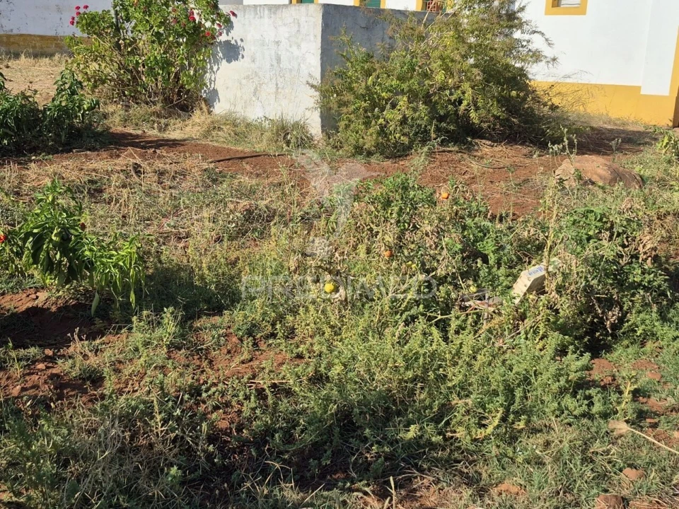 Terreno para Venda em Nossa Senhora da Conceição e São Bartolomeu Foto 27