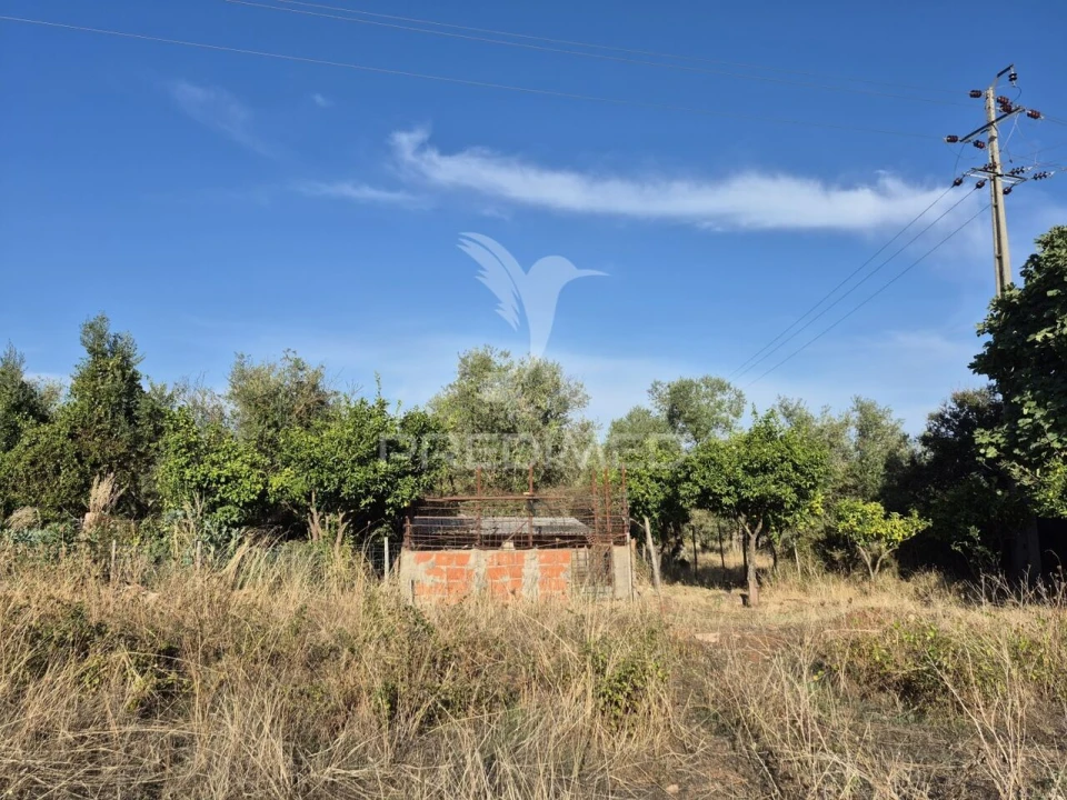 Terreno para Venda em Nossa Senhora da Conceição e São Bartolomeu Foto 33