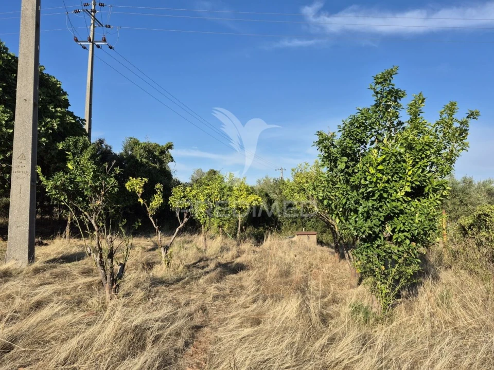 Terreno para Venda em Nossa Senhora da Conceição e São Bartolomeu Foto 35