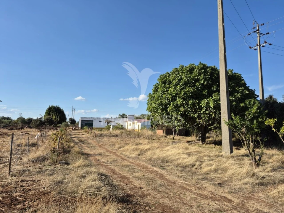 Terreno para Venda em Nossa Senhora da Conceição e São Bartolomeu Foto 37