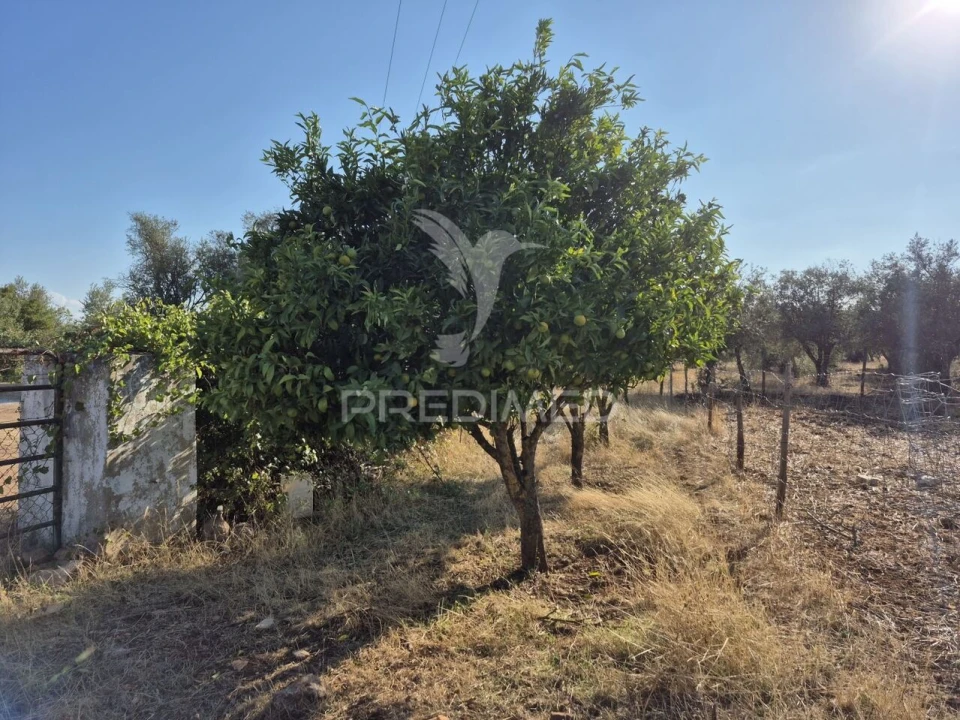 Terreno para Venda em Nossa Senhora da Conceição e São Bartolomeu Foto 36