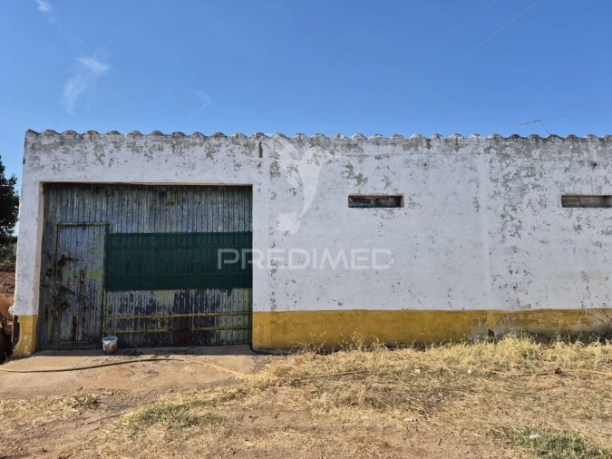 Terreno para Venda em Nossa Senhora da Conceição e São Bartolomeu Foto 14