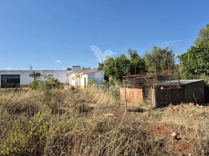 Terreno para Venda em Nossa Senhora da Conceição e São Bartolomeu Foto 34