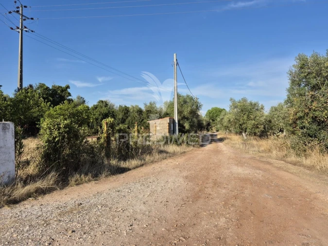 Terreno para Venda em Nossa Senhora da Conceição e São Bartolomeu Foto 38