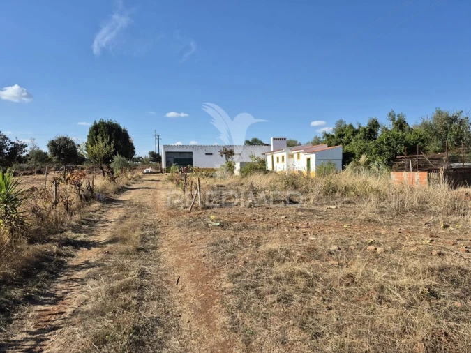 Terreno para Venda em Nossa Senhora da Conceição e São Bartolomeu Foto 5