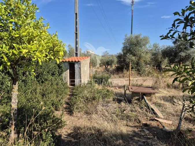 Terreno para Venda em Nossa Senhora da Conceição e São Bartolomeu Foto 3