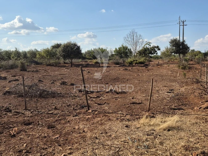 Terreno para Venda em Nossa Senhora da Conceição e São Bartolomeu Foto 32