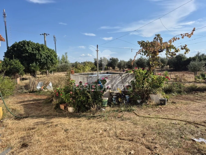 Terreno para Venda em Nossa Senhora da Conceição e São Bartolomeu Foto 10