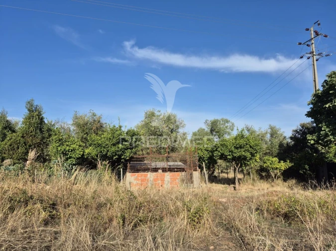 Terreno para Venda em Nossa Senhora da Conceição e São Bartolomeu Foto 33